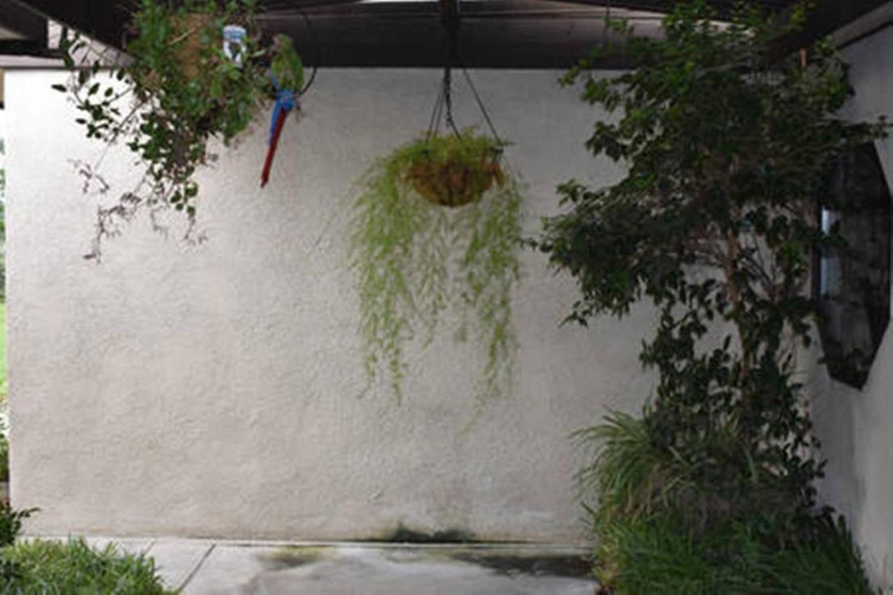 Beautiful House With Fantastic View In Azusa Extérieur photo